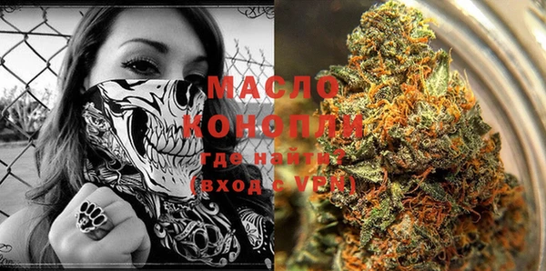 дмт Абаза