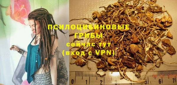 дмт Абаза