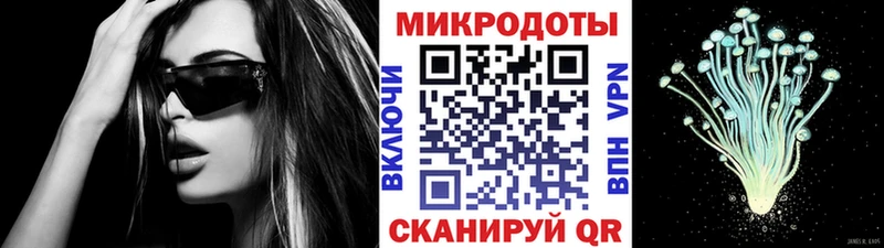 Галлюциногенные грибы Psilocybe  Иваново 